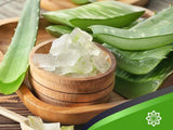Aurodhea - CREMA VISO GIORNO ALL'ALOE VERA - 50 ML Arricchita con Olio di Argan, Pantenolo, Proteine della Seta, Olio di Jojoba e Vitamina E