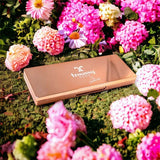 Palette Viso Troussy - Blush Terra Illuminante